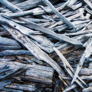 Driftwood pieces